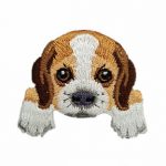 Beagle / Foxhound