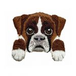 Boxer