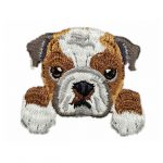 Bulldog