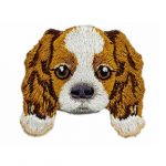 Cavalier King Charles