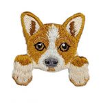 Corgi galés