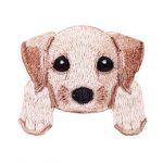 Labrador