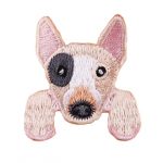 Pit bull / Bull terrier