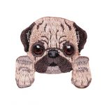 Pug