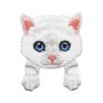 Gato blanco