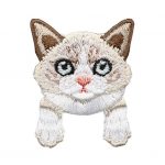 Gato crema / marrón