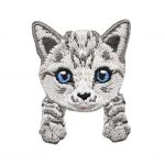 Gato gris