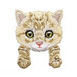 Gato marrón / beige