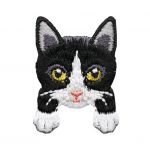 Gato negro